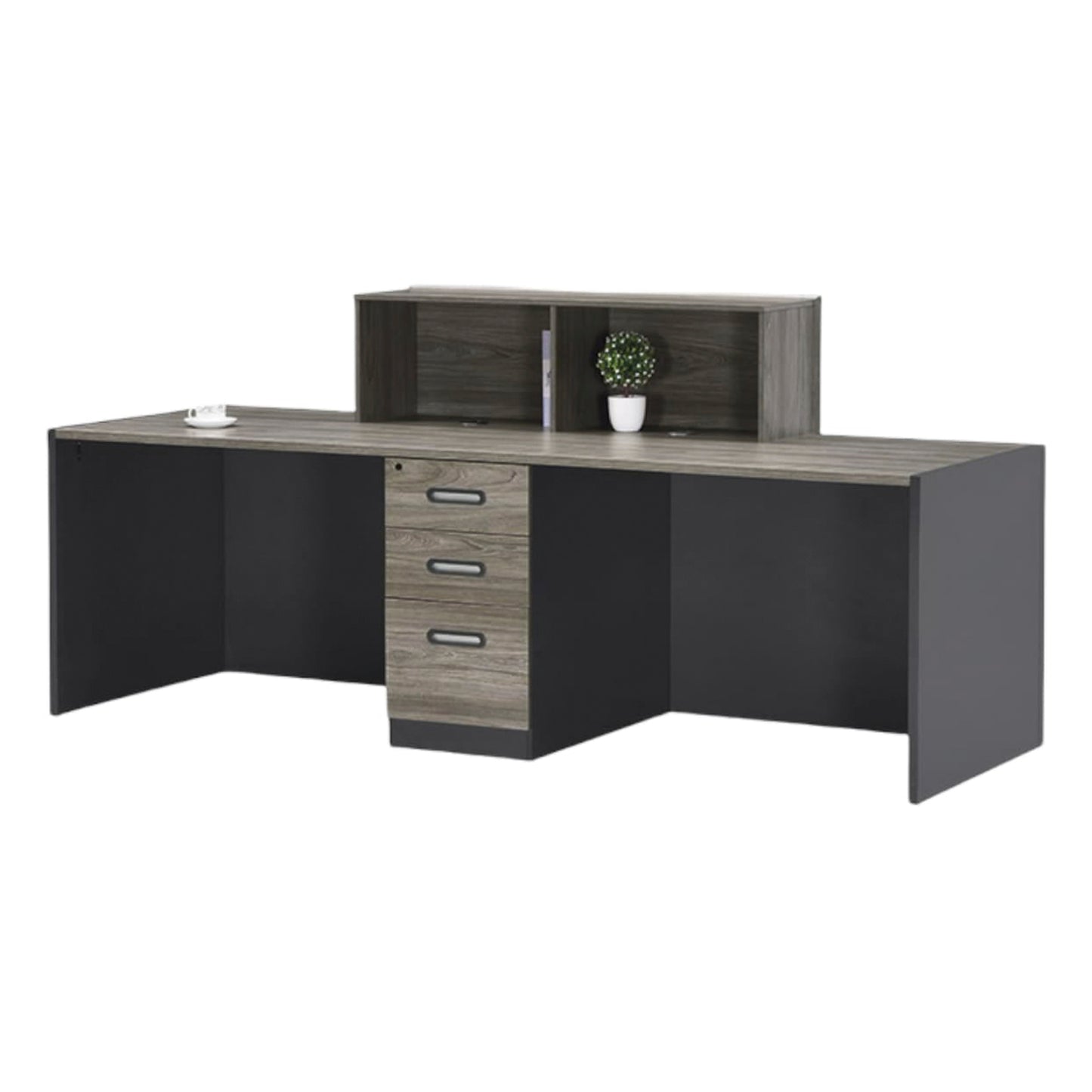 RECEPCION BINARIA FIRENZA FLY