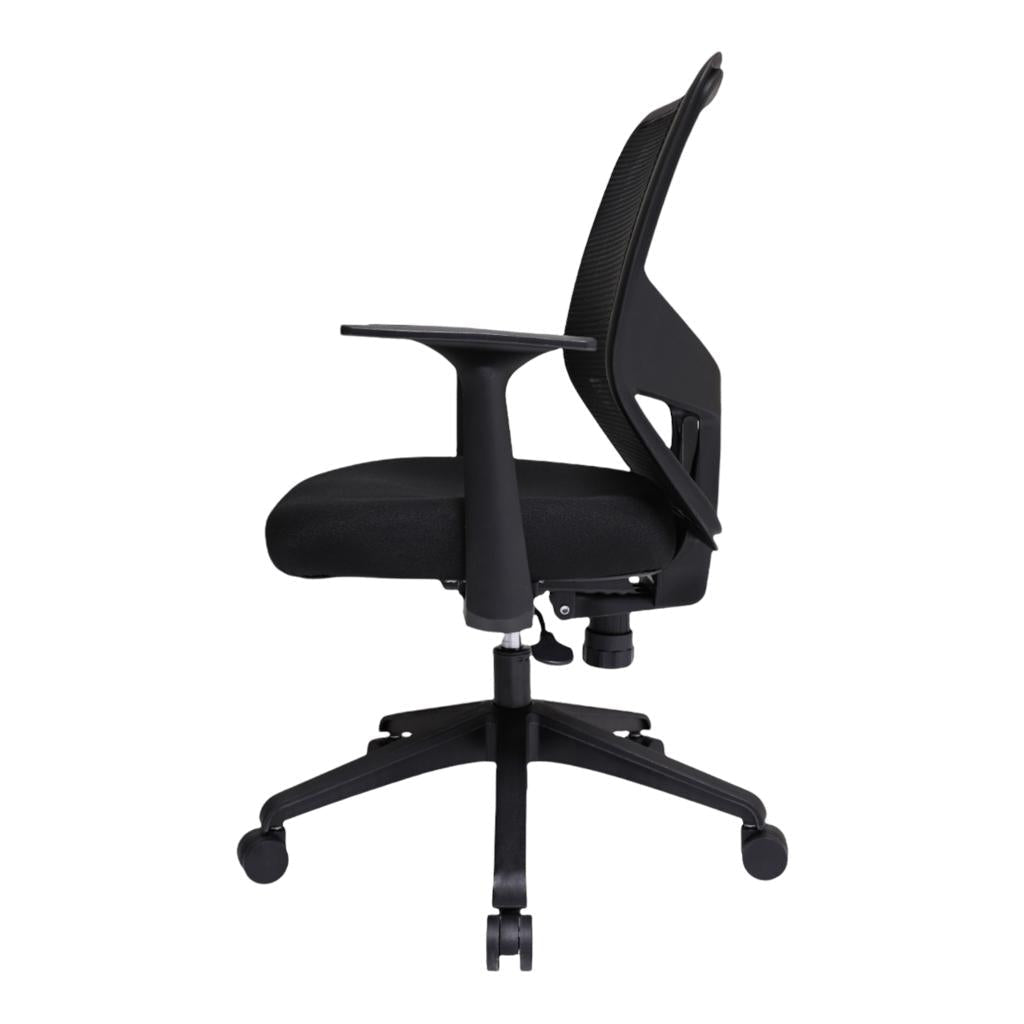 SILLA CAVALLI - manueldelgado