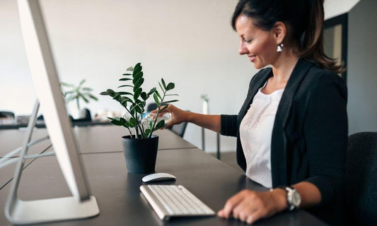 Tips para modernizar tu oficina fácil y rápido.